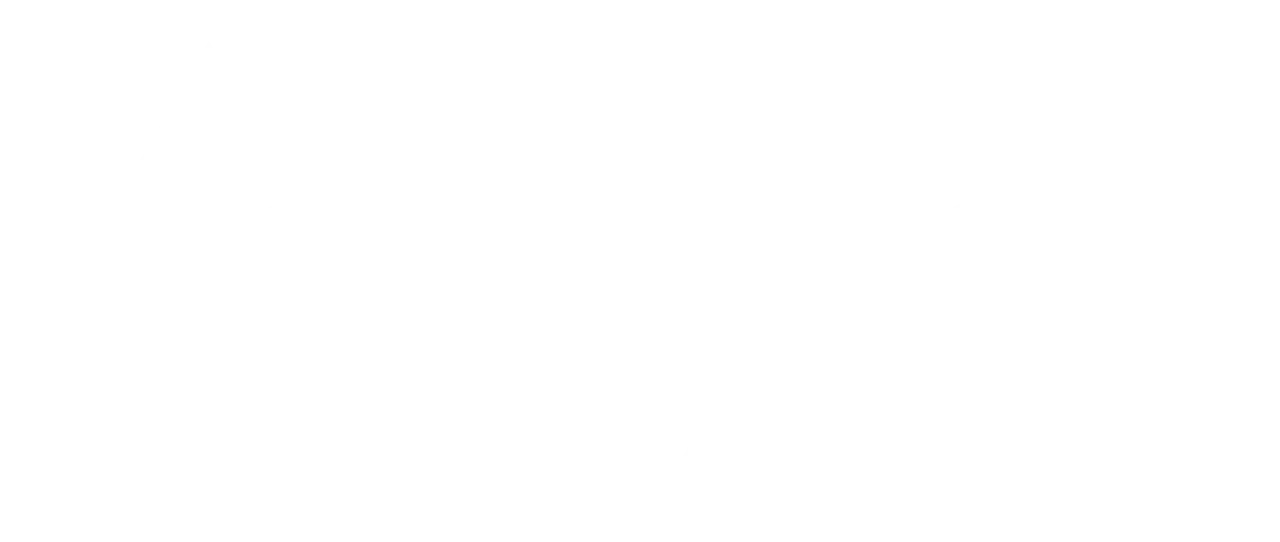 Lanex Corporation Logo